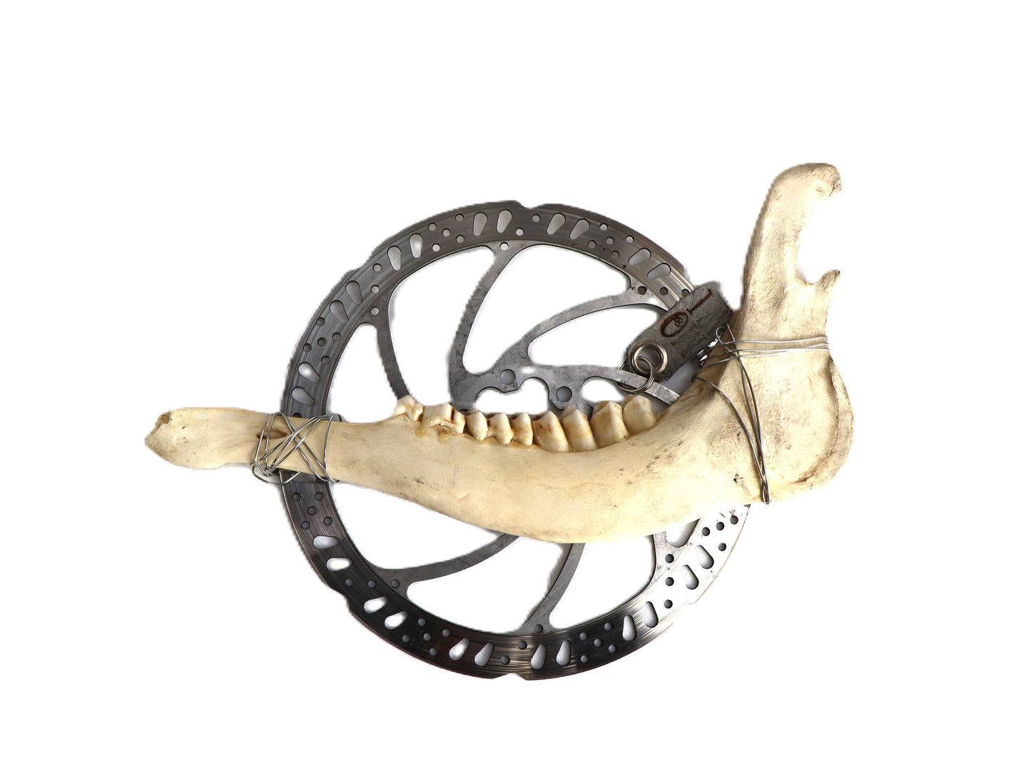 Bremsscheiben