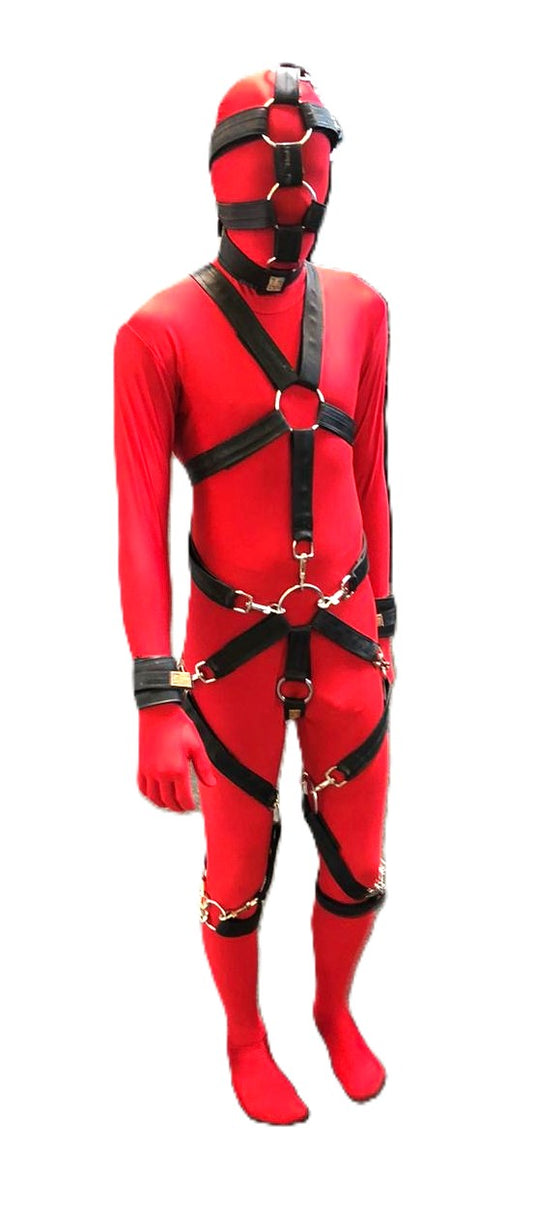 Gurt-Beispiel ganzer Körper