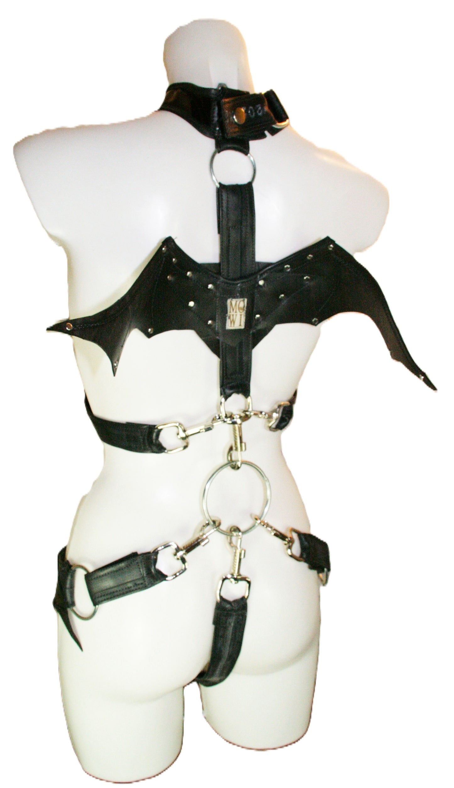 Harness Gurtsystem Beispiel mit Flügel