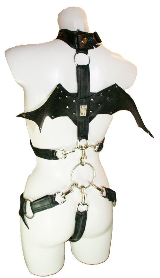 Harness Gurtsystem Beispiel mit Flügel